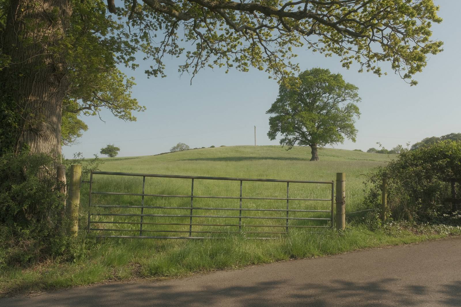 Starfield film recipe sample photo