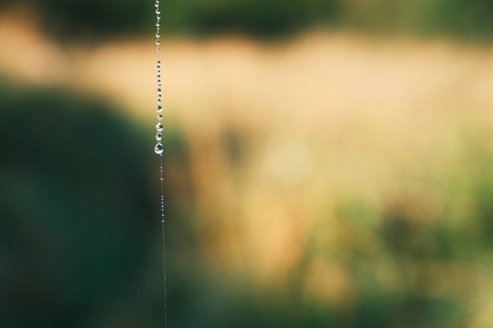 Organic Analog film recipe sample photo