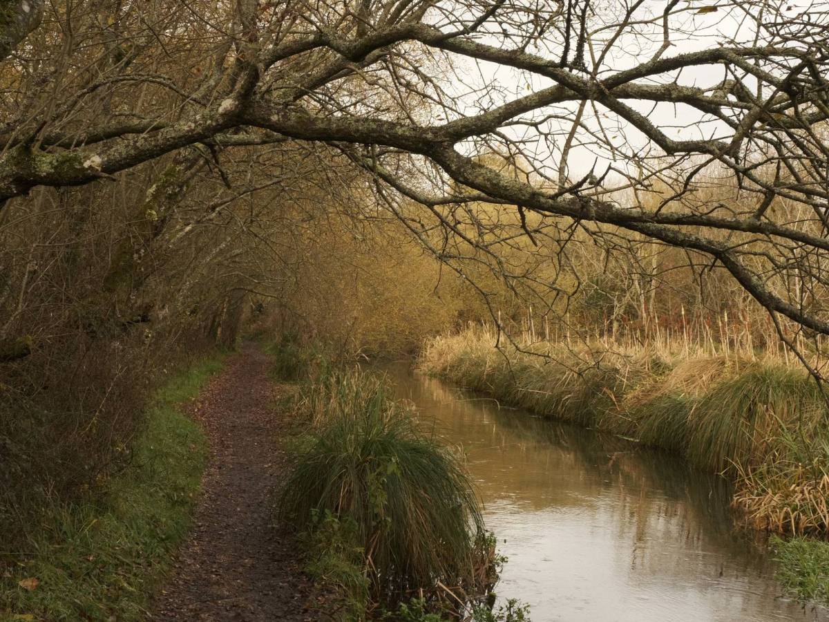 Autumn Eterna, for Enhanced Fall&nbsp;Colors
