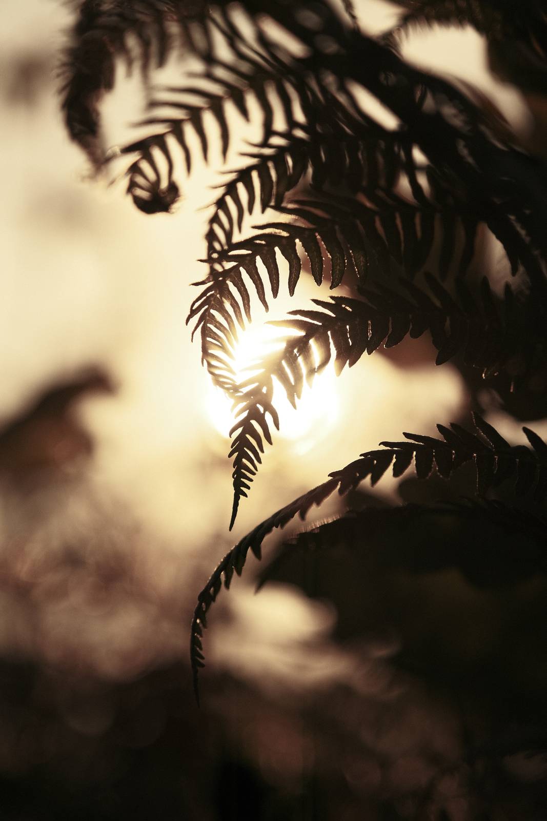 Brontosaurus film recipe sample photo