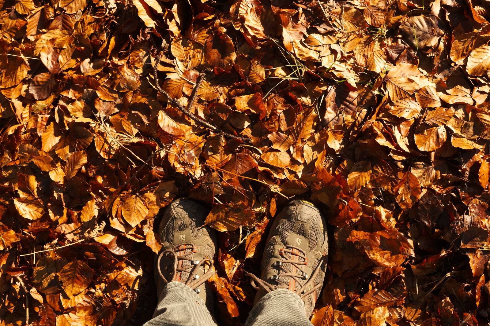 Autumn Eterna film recipe sample photo