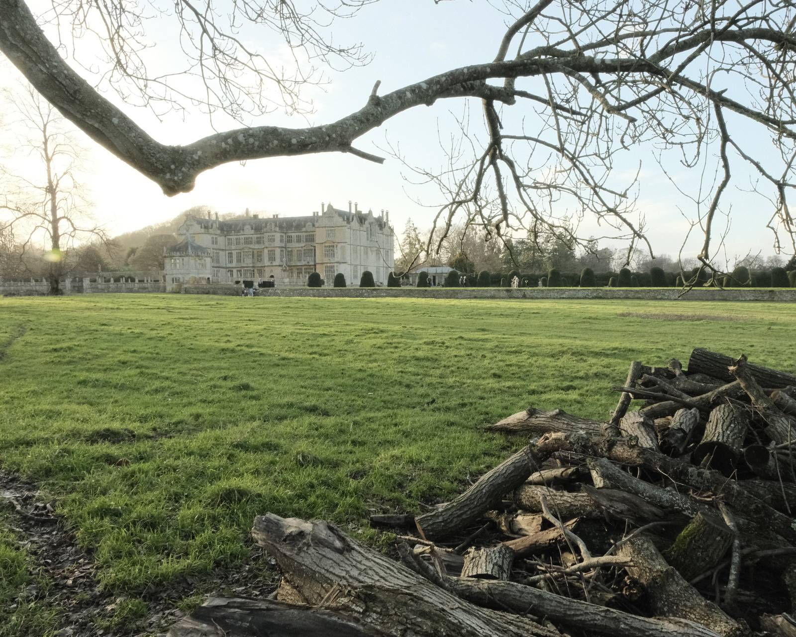 Cotswold Standard film recipe