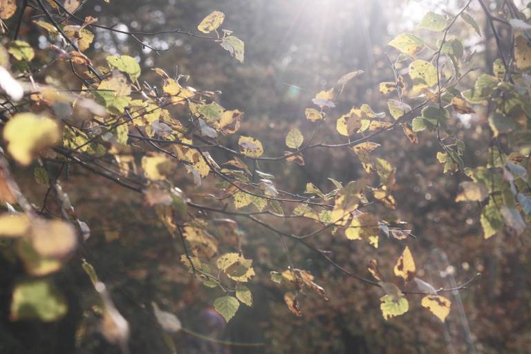 Retroscope, Film Recipe Time Machine – Film Recipes for Fujifilm Cameras