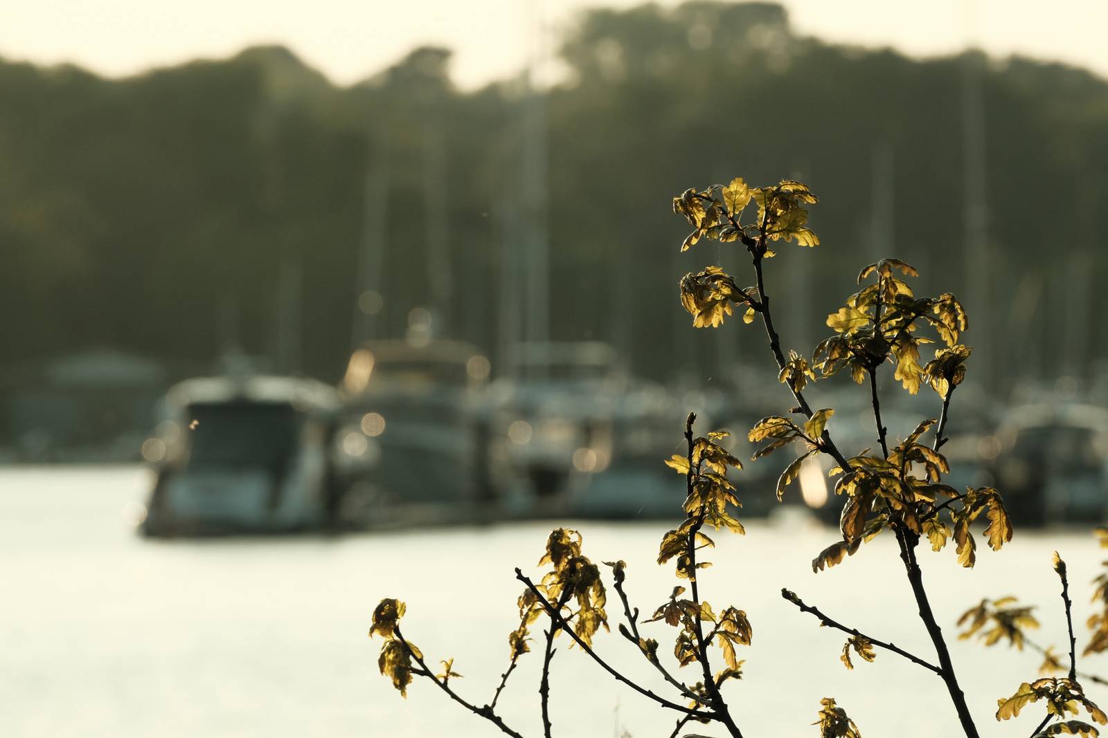 Quicklime film recipe sample photo