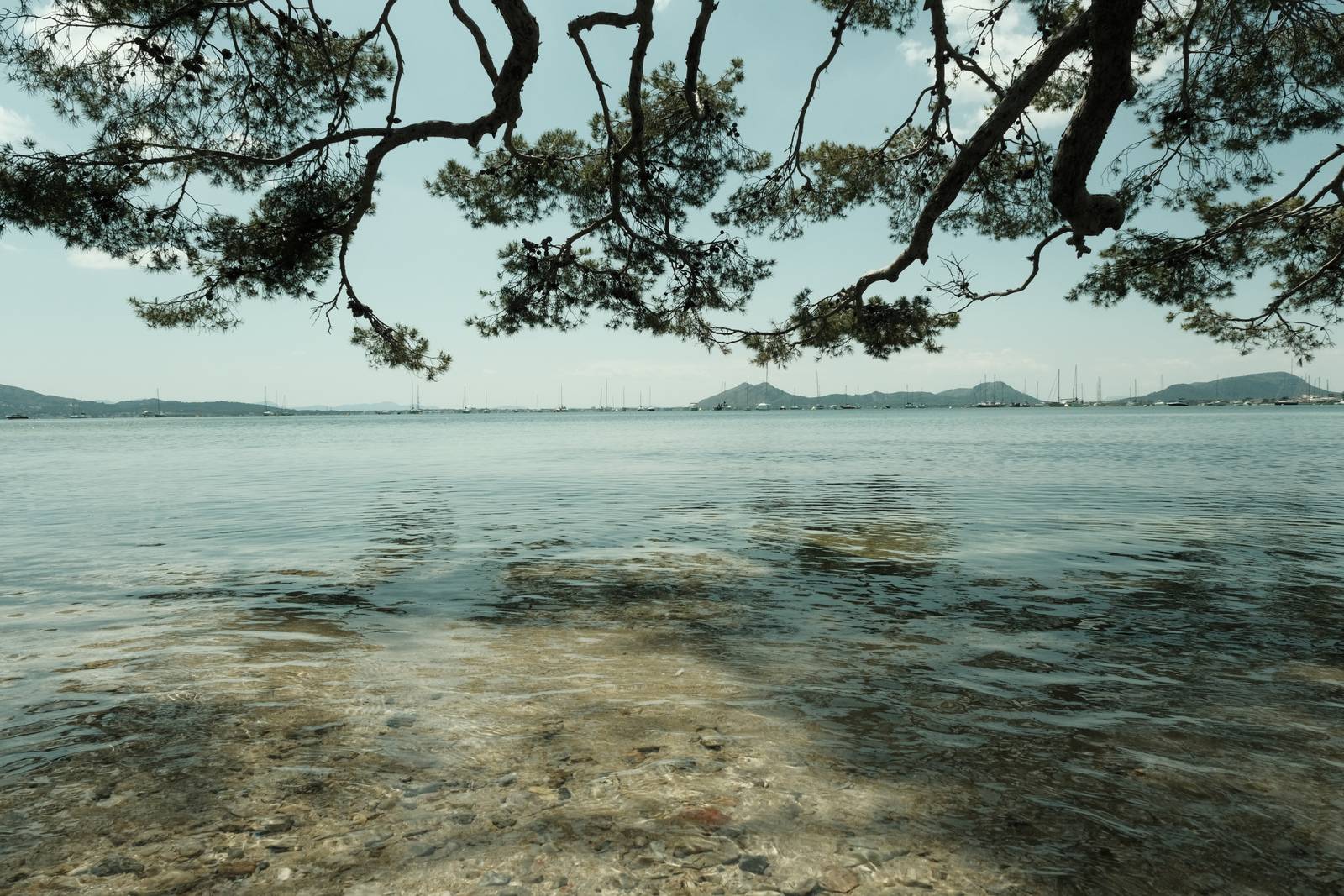 Quicklime film recipe sample photo