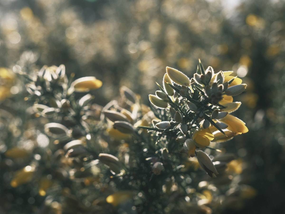 123-123, Year End Story&nbsp;Mode