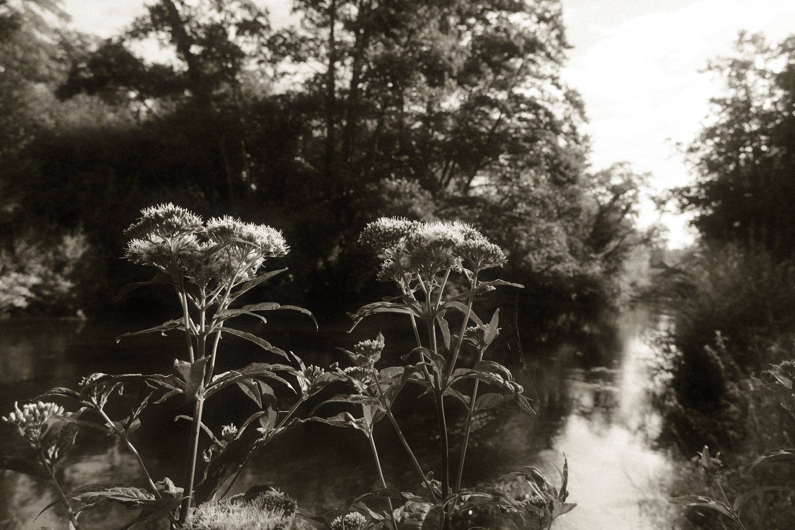 Silent Era film recipe sample photo