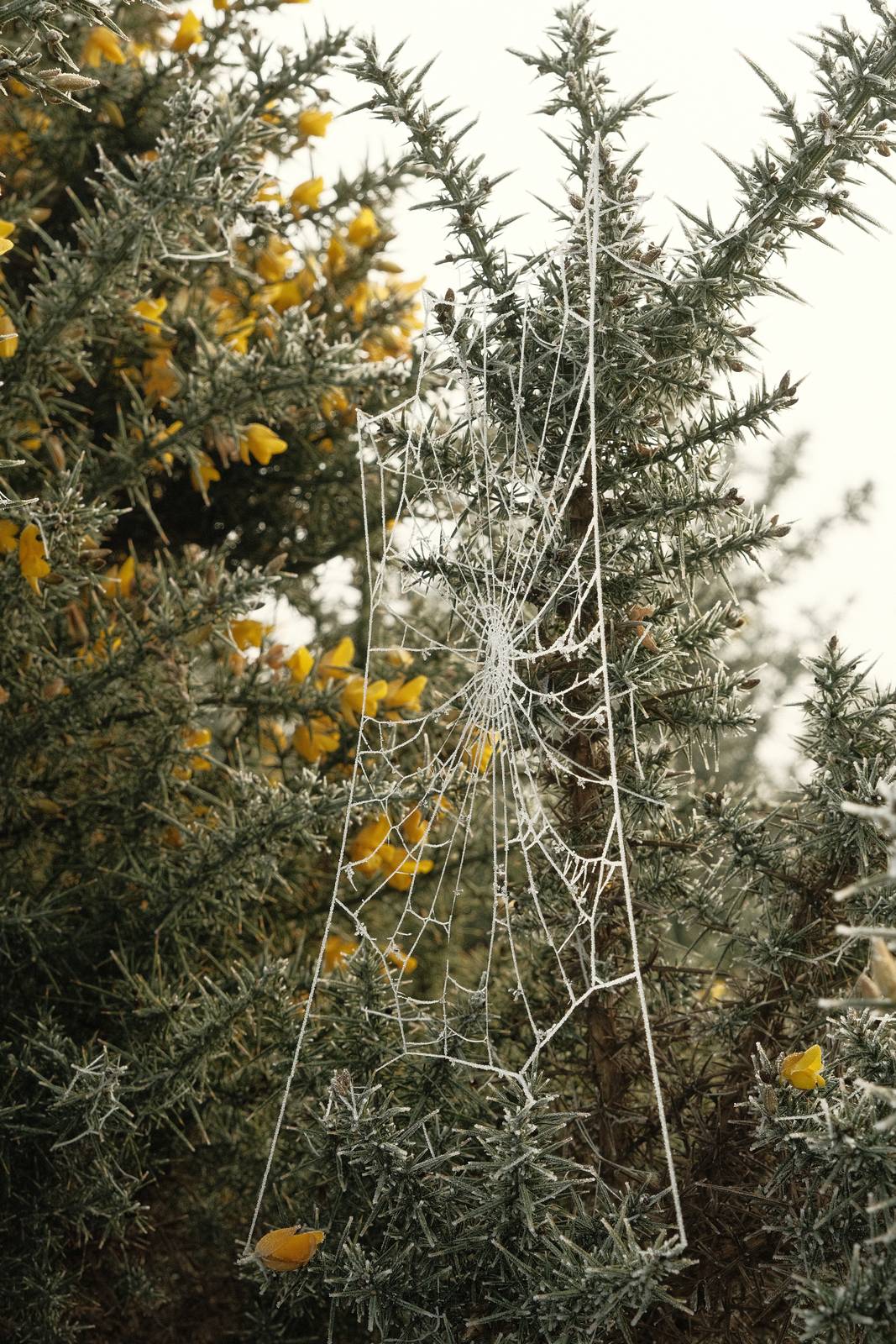 Kodak Portra film recipe sample photo