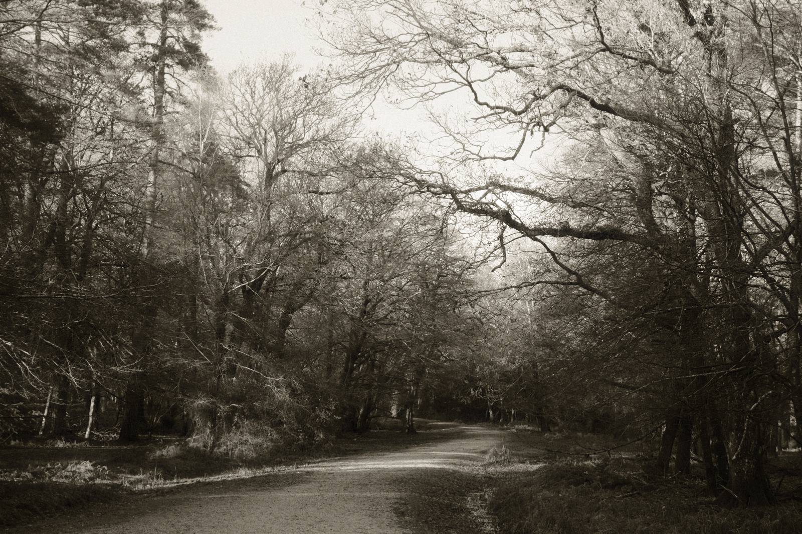 Silent Era film recipe sample photo