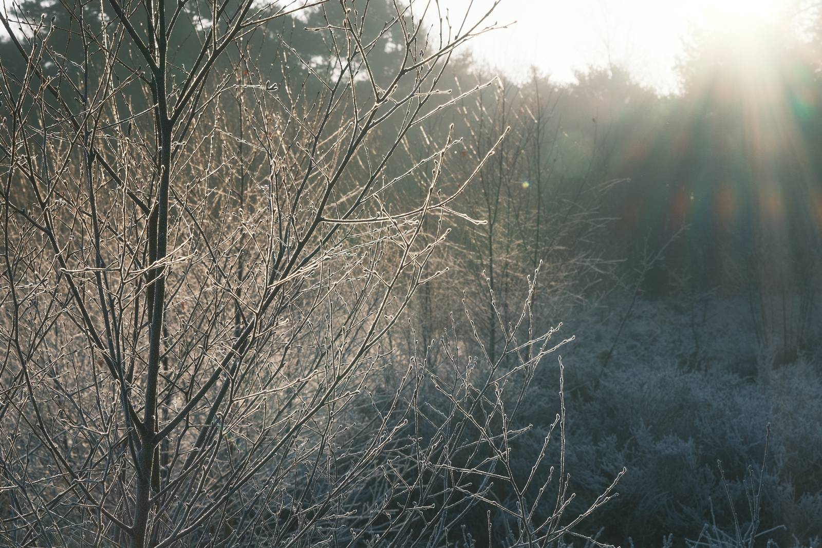 123-123 film recipe sample photo