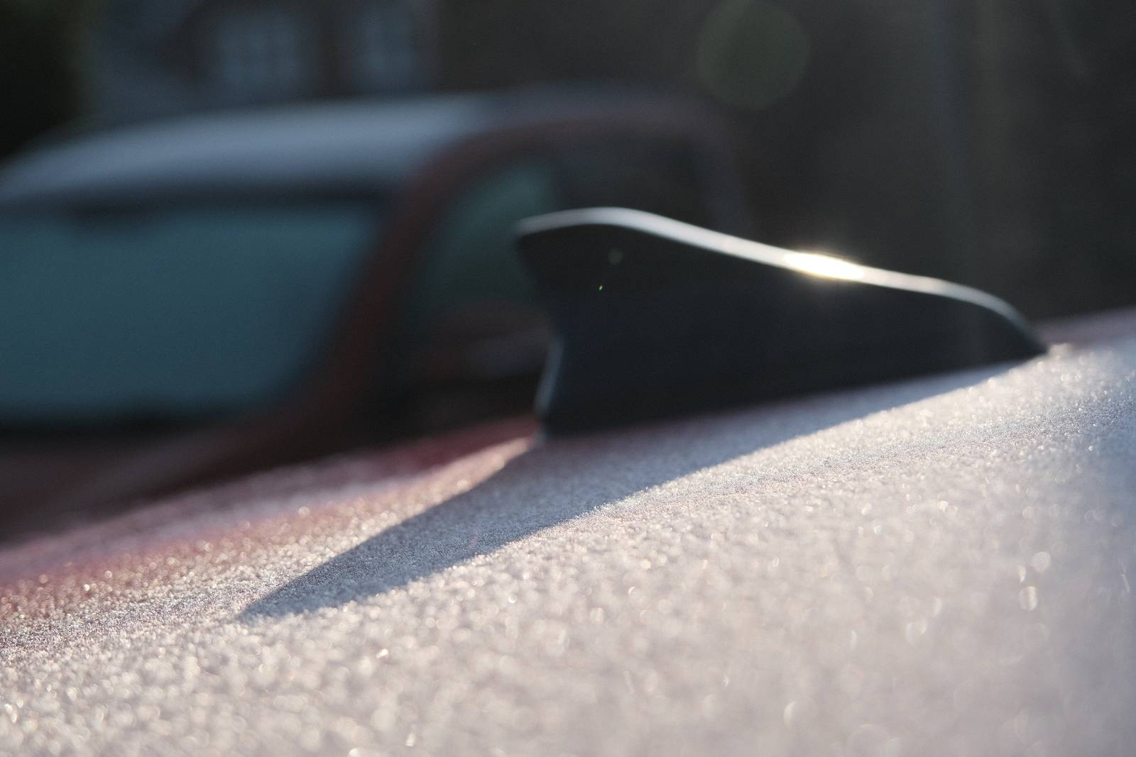 Winter Standard film recipe sample photo