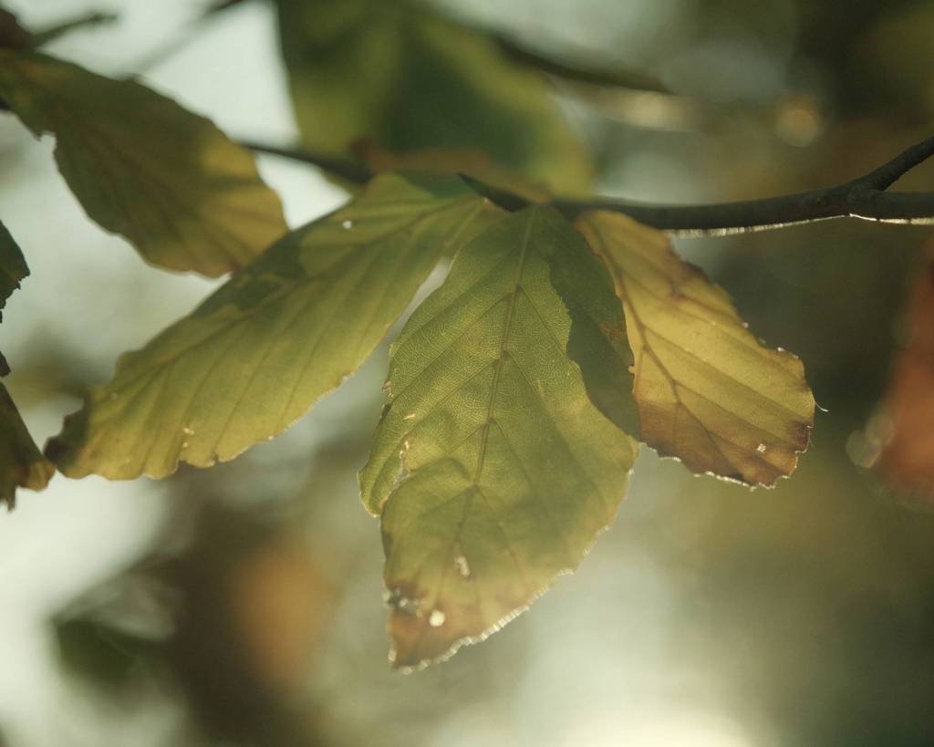 Expired 400, Photos from Old Film&nbsp;Rolls