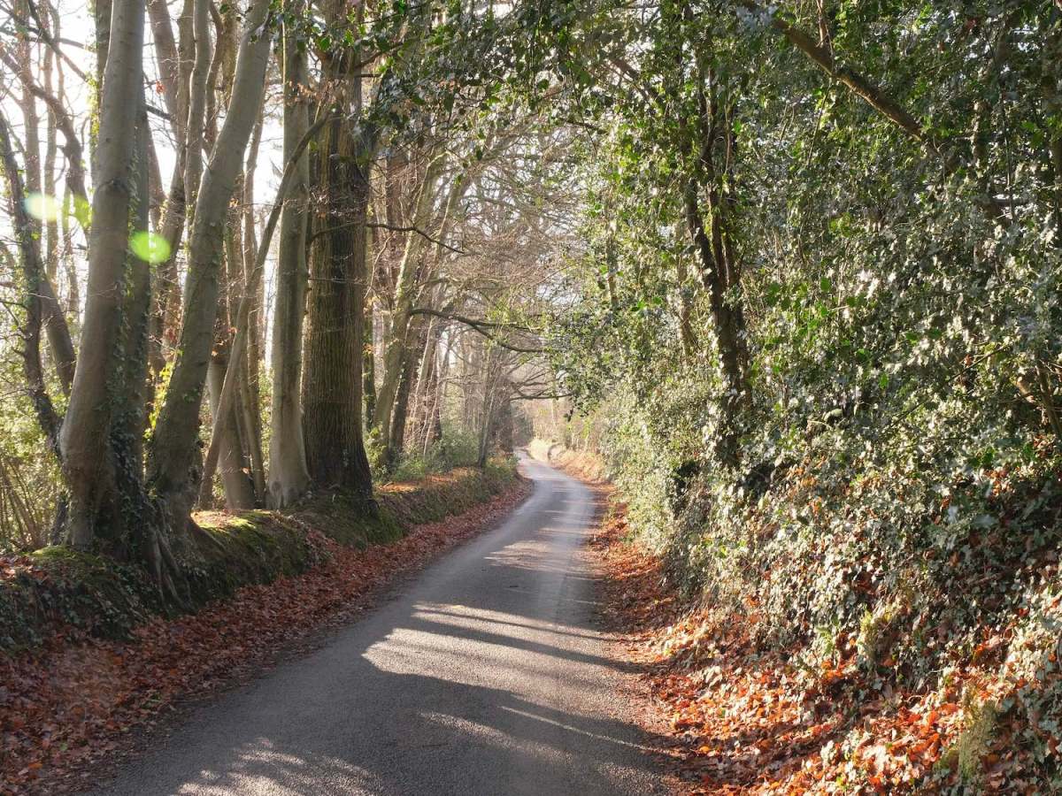 Heartland, Nostalgic Provia&nbsp;Recipe