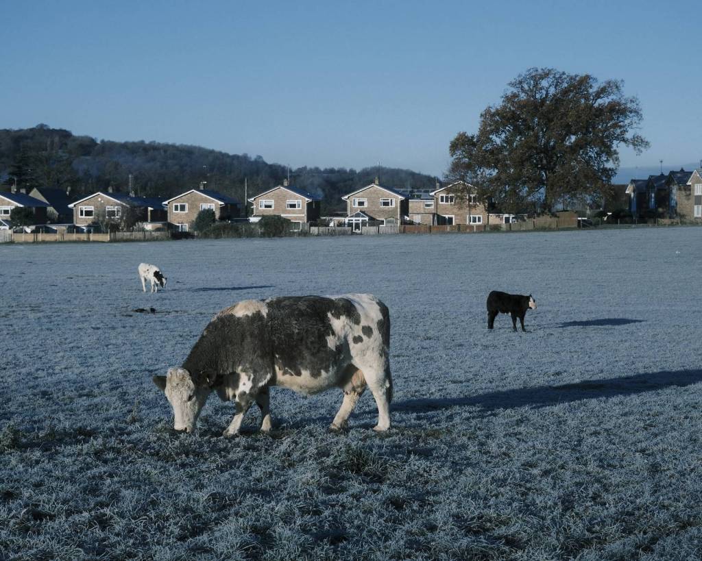 Blue Monday, Experimental Blue&nbsp;Tones