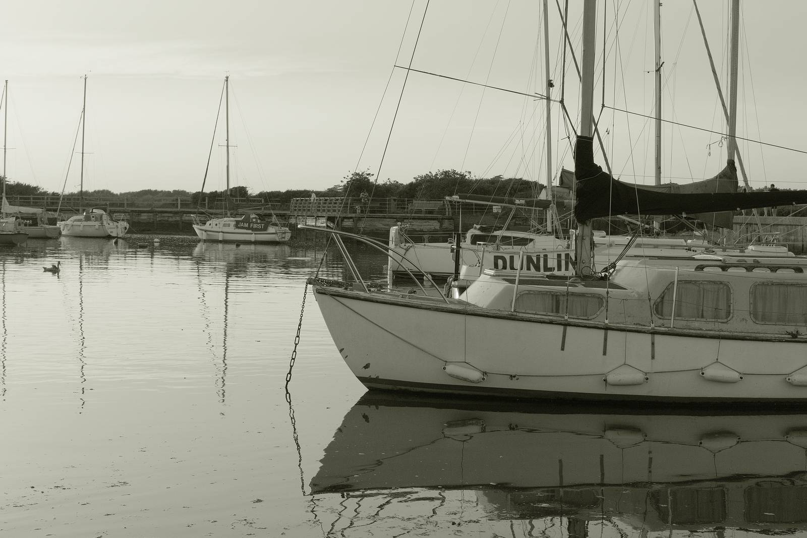 Liminal Mono film recipe sample photo