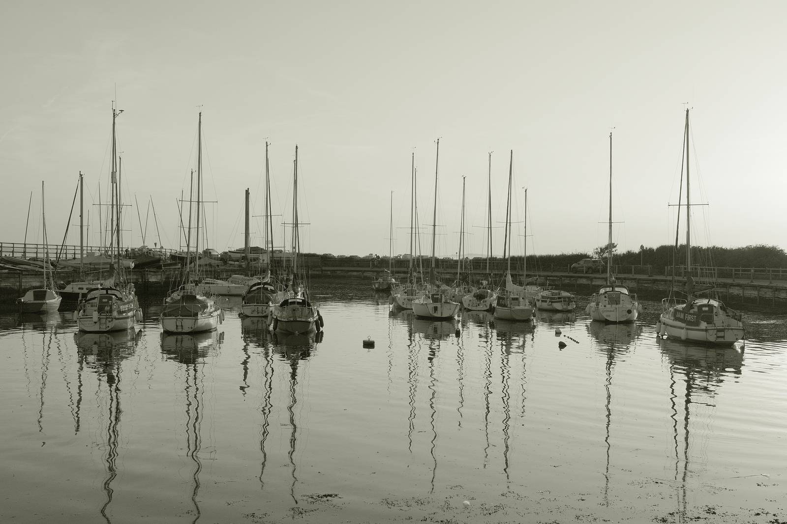 Liminal Mono film recipe sample photo