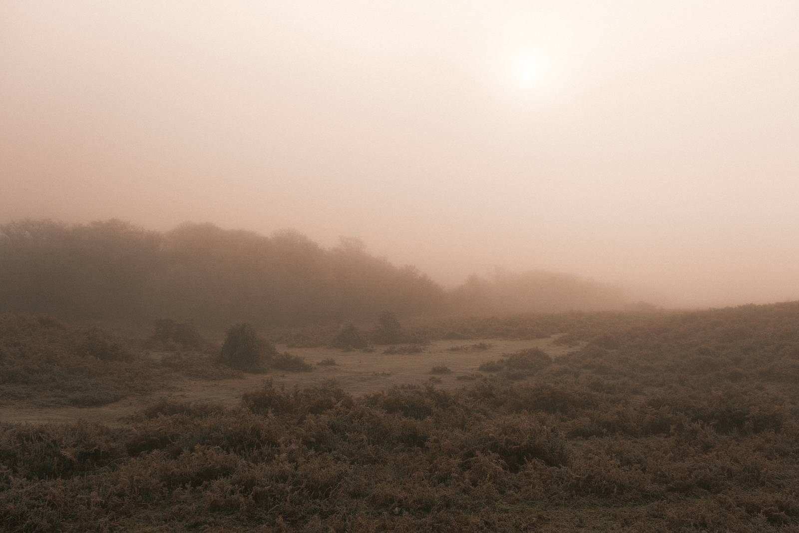 Bronze Age film recipe sample photo