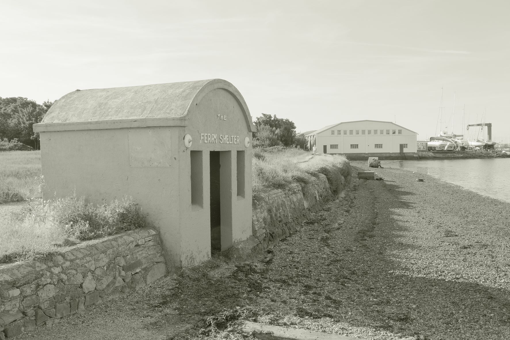 Liminal Mono film recipe sample photo