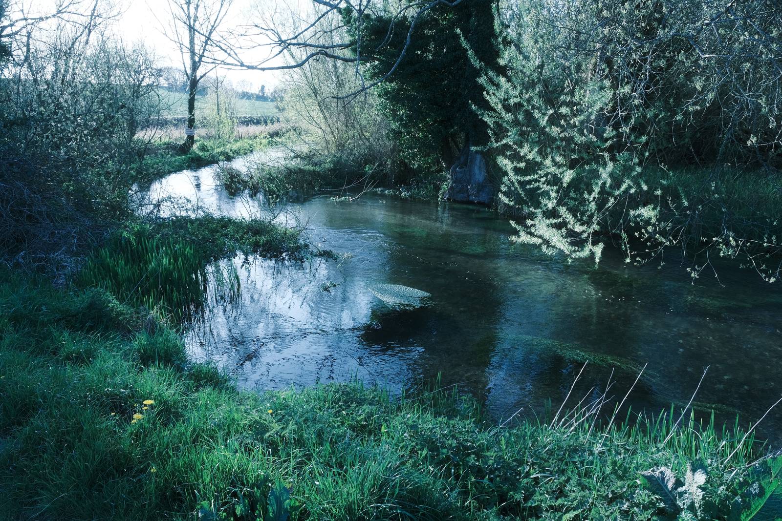 Blue Monday film recipe sample photo
