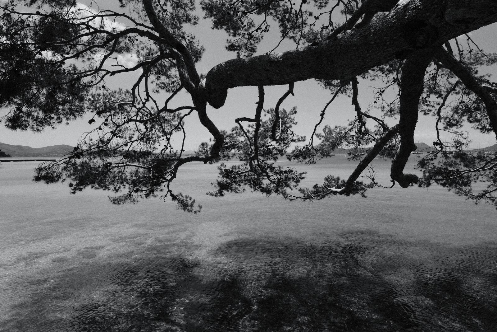 Agfa APX 400 film recipe sample photo