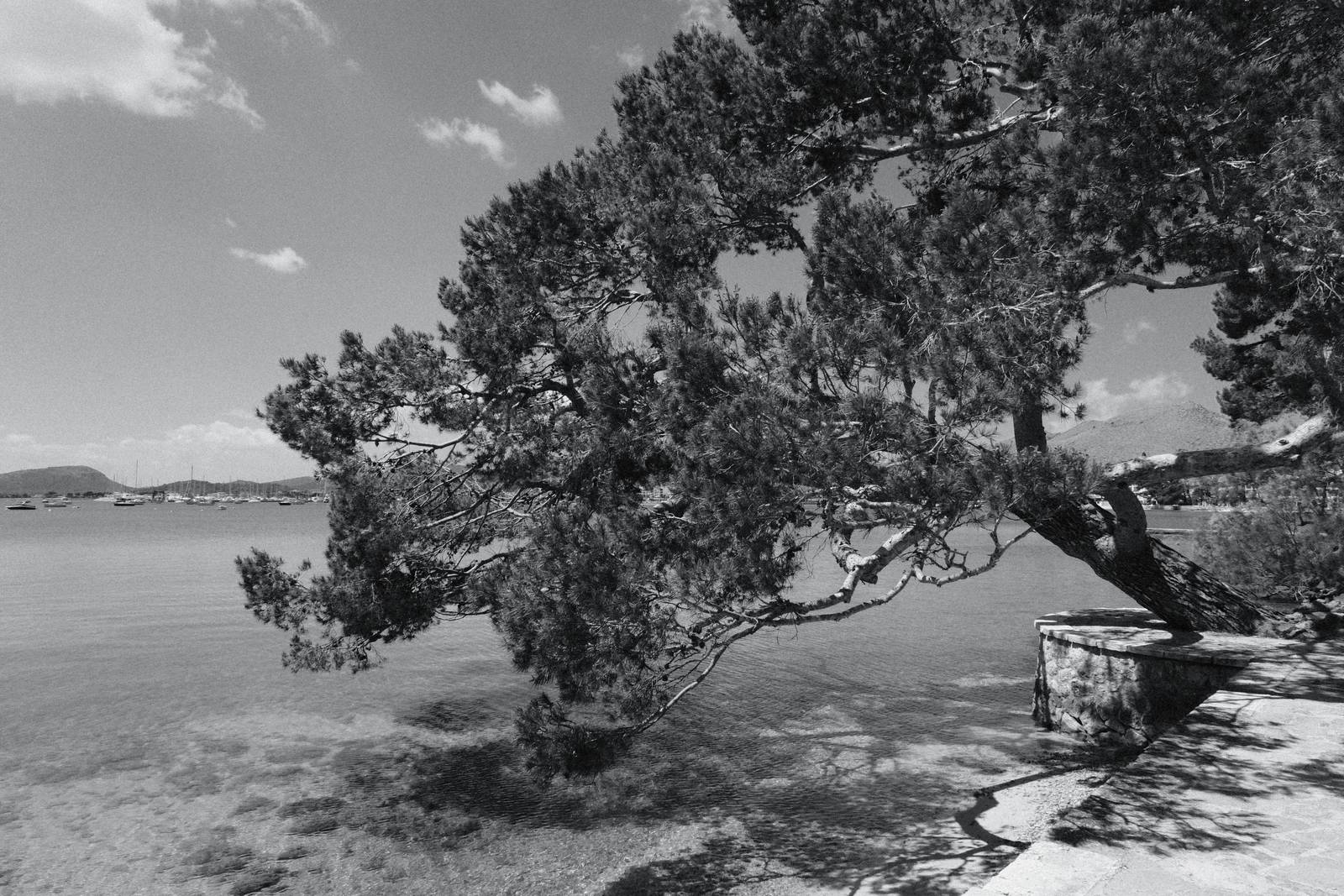 Agfa APX 400 film recipe sample photo