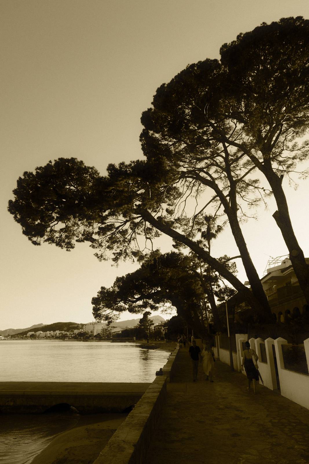 Gilt Trip film recipe sample photo