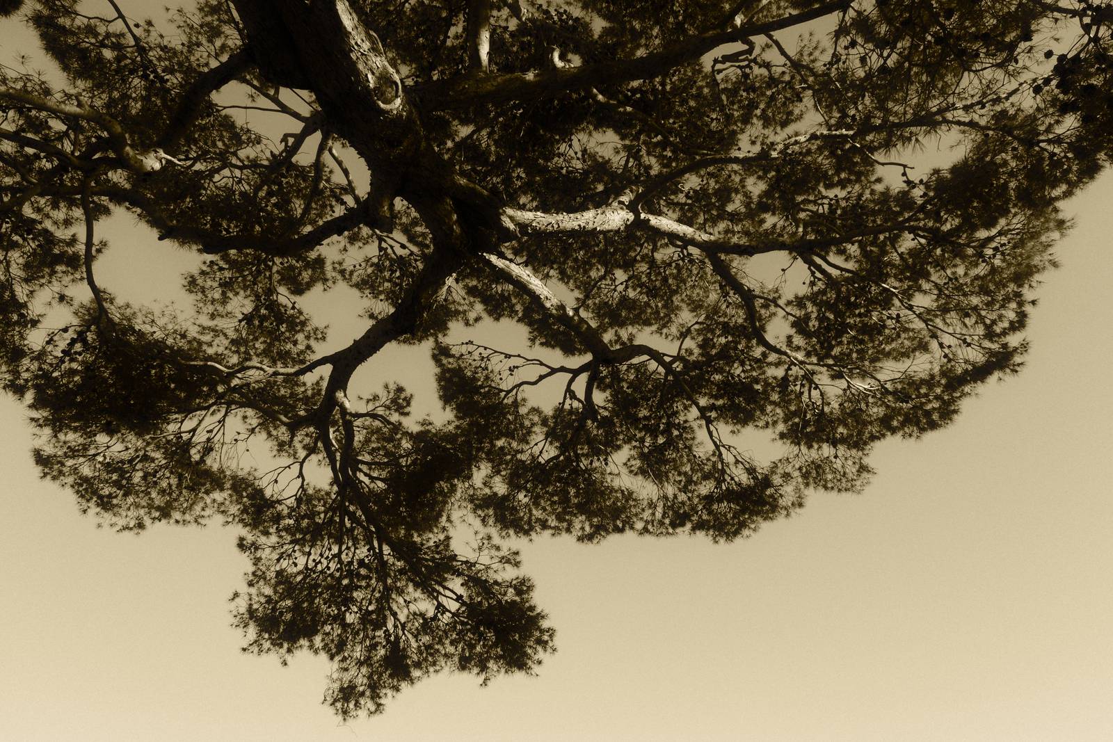 Gilt Trip film recipe sample photo