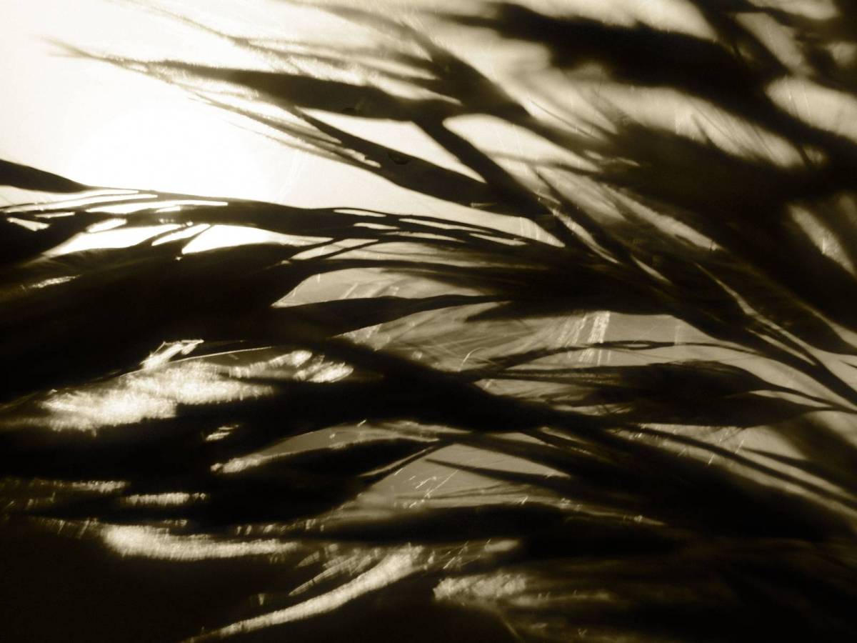 Gilt Trip, Antique Gold Tone&nbsp;Mono