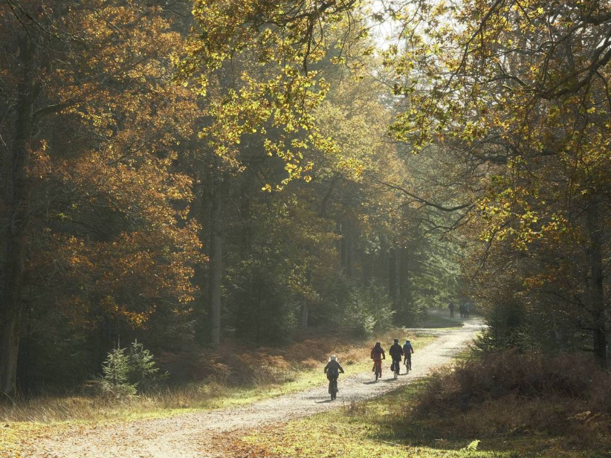 Kodak Portra 160 Film&nbsp;Recipe