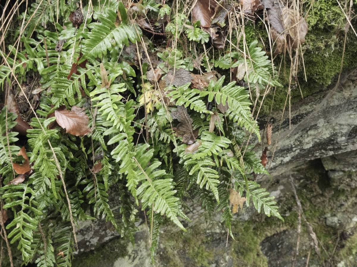 Land Rover, for Outdoor&nbsp;Adventures