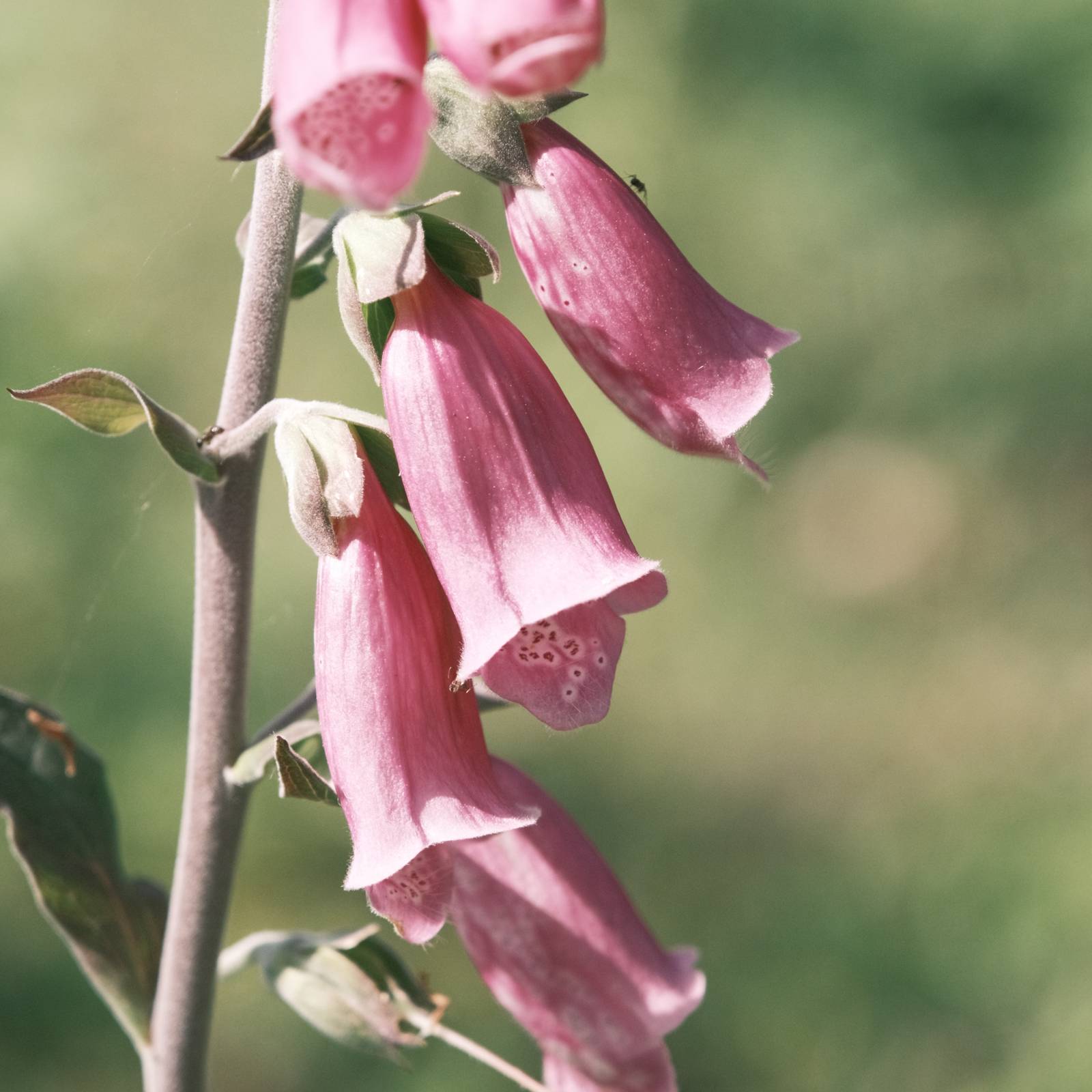 Polaroid SX70 film recipe sample photo