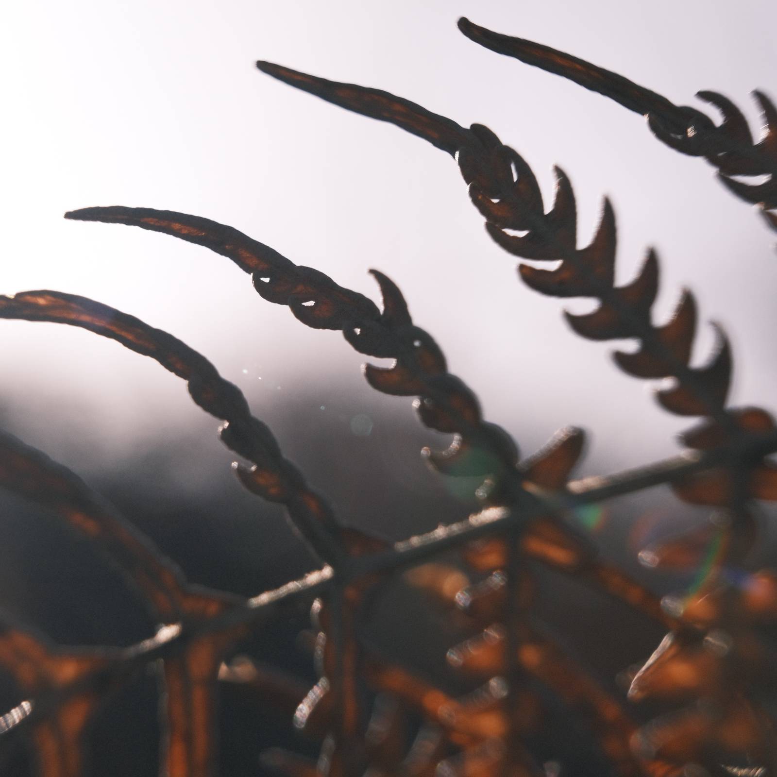 Polaroid SX70 film recipe sample photo