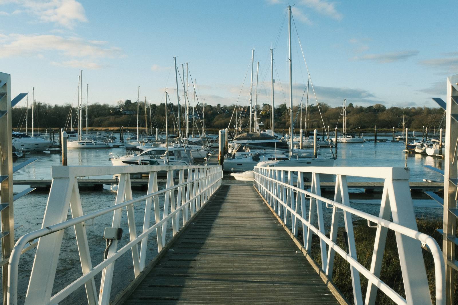 Expired Superia film recipe sample photo