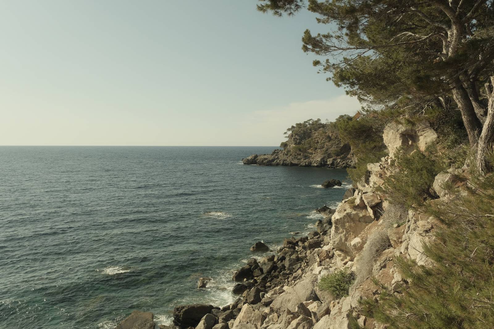 Cine Pro film recipe sample photo