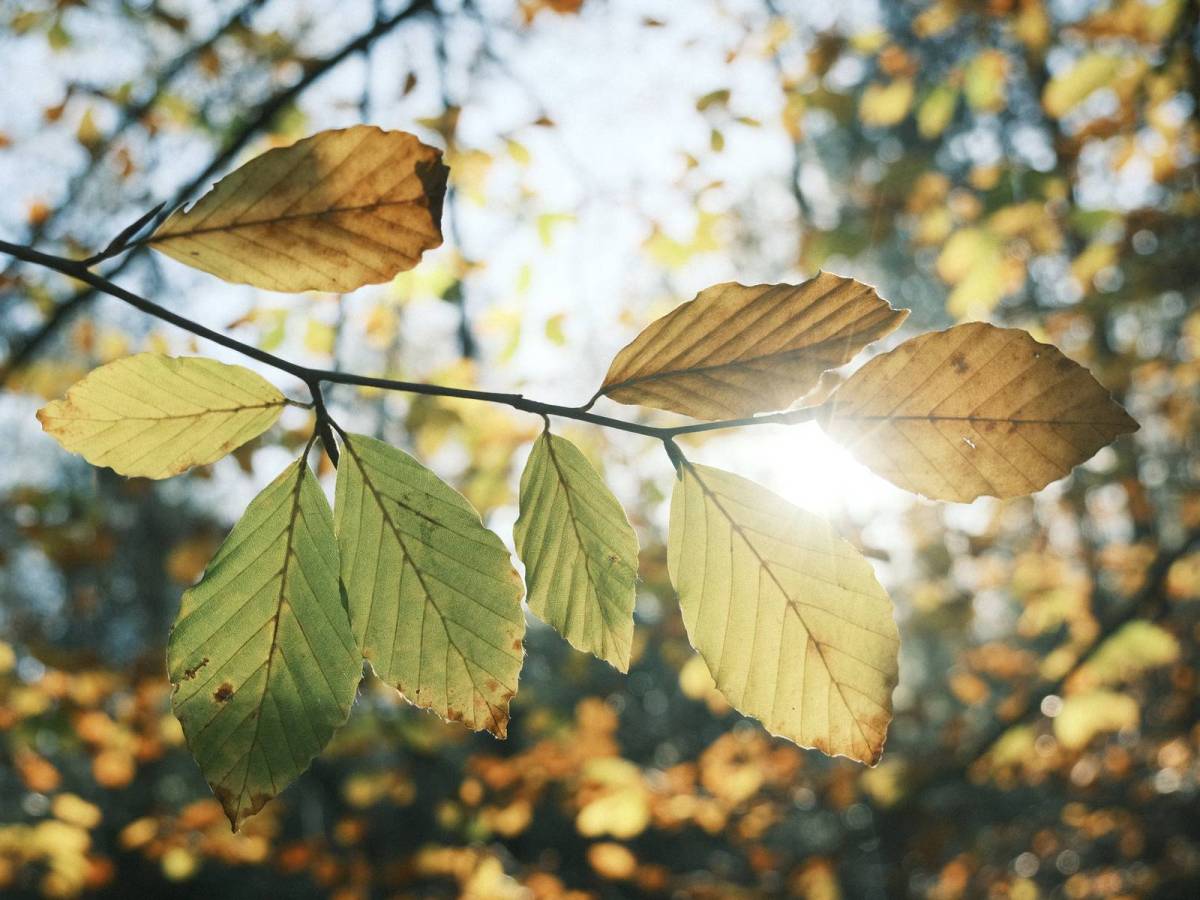 Expired Superia, Fujifilm with&nbsp;Character