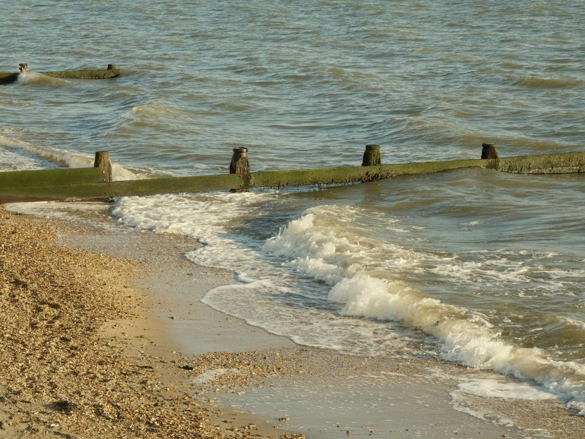 Nostalgic Print, Creamy Nostalgic&nbsp;Negative