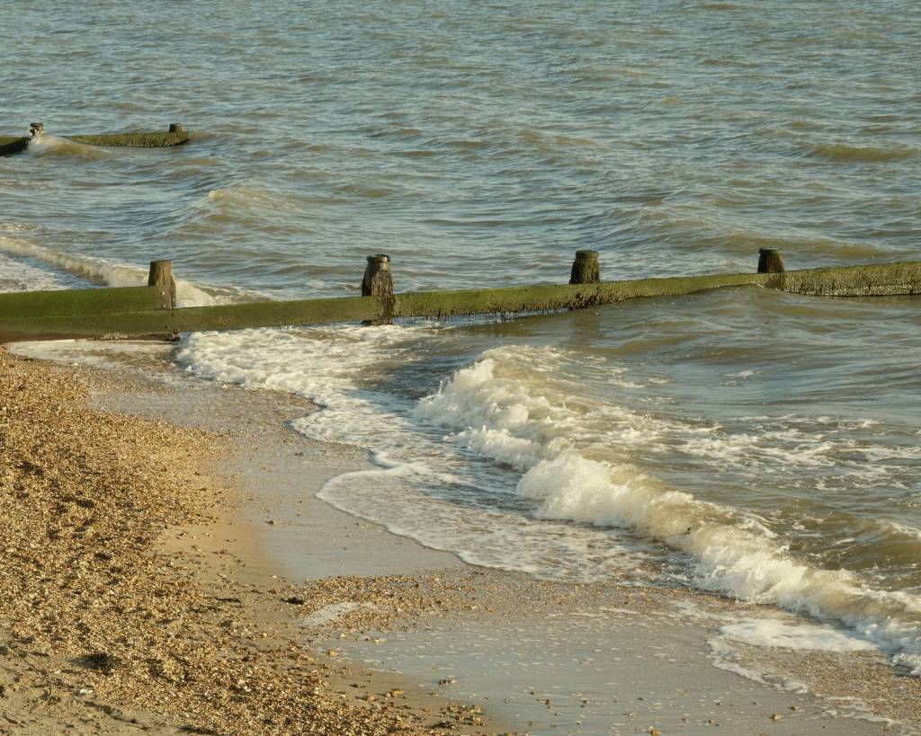 Nostalgic Print, Creamy Nostalgic&nbsp;Negative