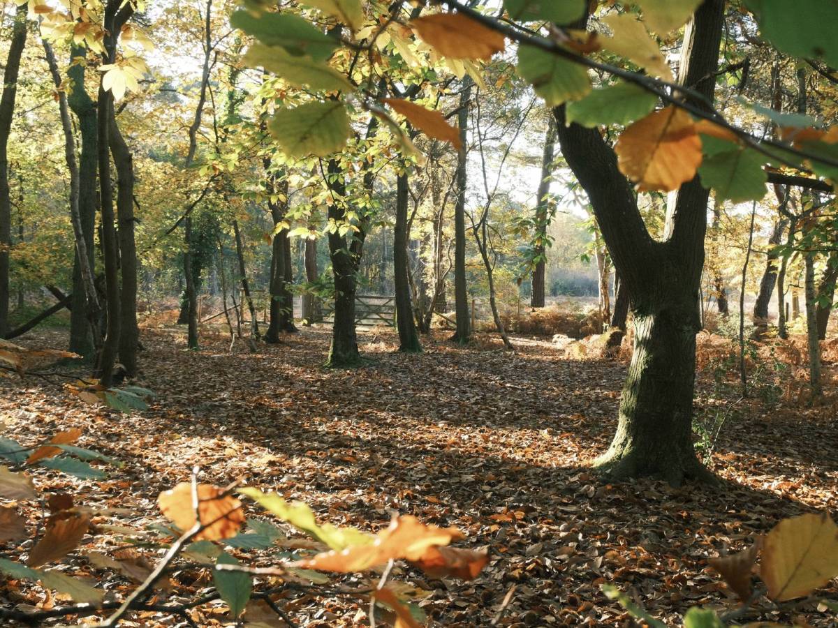 Point and Shoot 200 Film&nbsp;Recipe