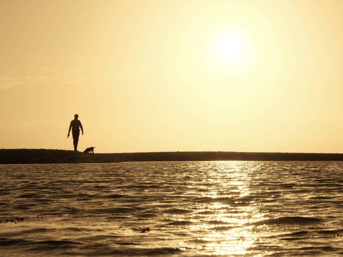 Bananarama, Yellow Wes Anderson&nbsp;Look