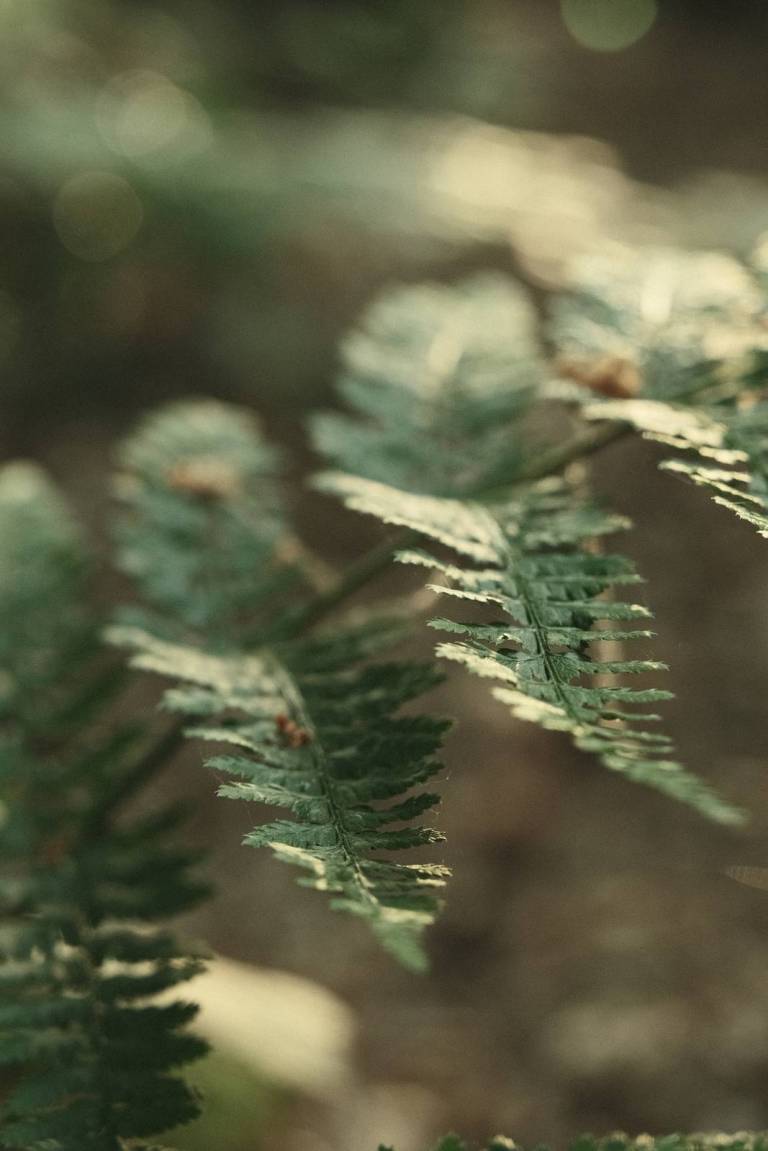 Arthouse Bleach, Faded Colour Film Recipe – Film Recipes for Fujifilm ...