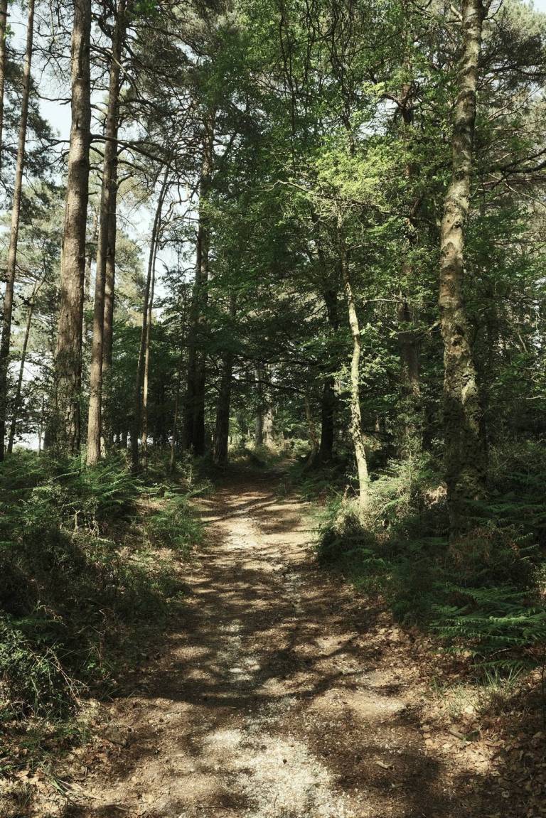 Arthouse Bleach, Faded Colour Film Recipe – Film Recipes for Fujifilm ...