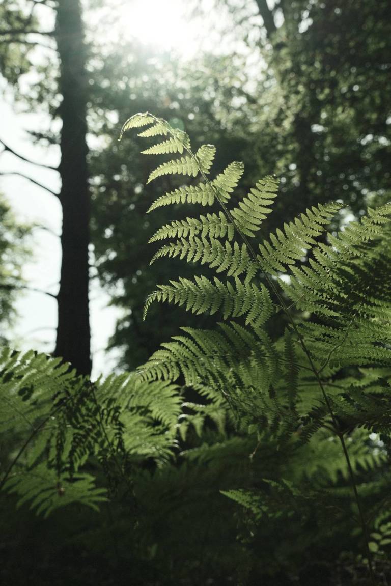 Arthouse Bleach, Faded Colour Film Recipe – Film Recipes for Fujifilm ...