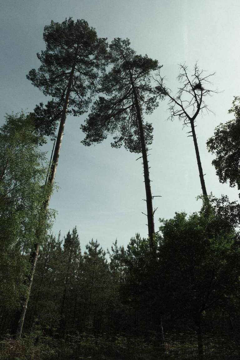 Arthouse Bleach, Faded Colour Film Recipe – Film Recipes for Fujifilm ...