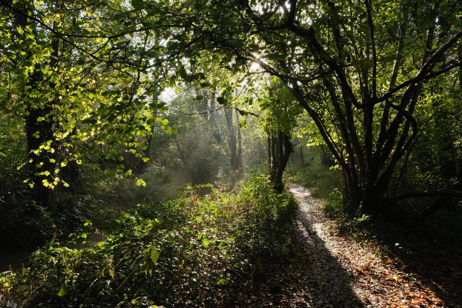 Valenwood film recipe sample photo