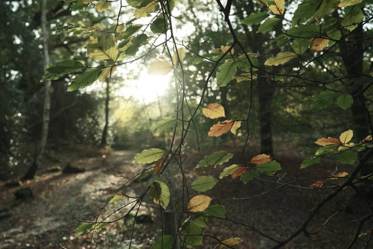 Arthouse Bleach, Faded Colour Film Recipe – Film Recipes for Fujifilm ...