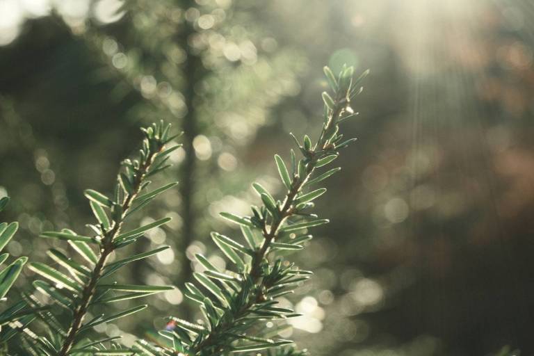 Arthouse Bleach, Faded Colour Film Recipe – Film Recipes for Fujifilm ...