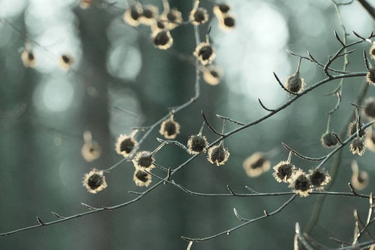 Arthouse Bleach, Faded Colour Film Recipe – Film Recipes for Fujifilm ...