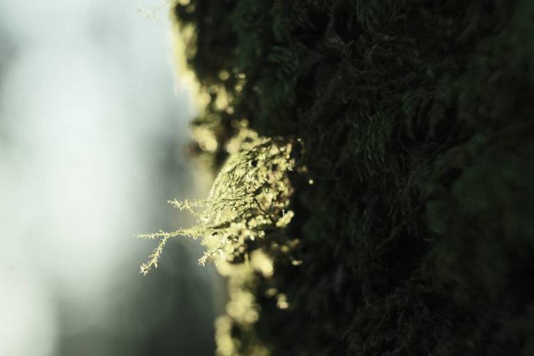 Arthouse Bleach, Faded Colour Film Recipe – Film Recipes for Fujifilm ...