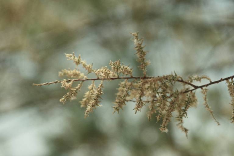 Arthouse Bleach, Faded Colour Film Recipe – Film Recipes for Fujifilm ...