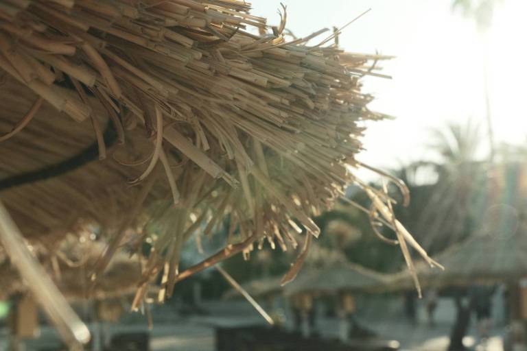 Arthouse Bleach, Faded Colour Film Recipe – Film Recipes for Fujifilm ...